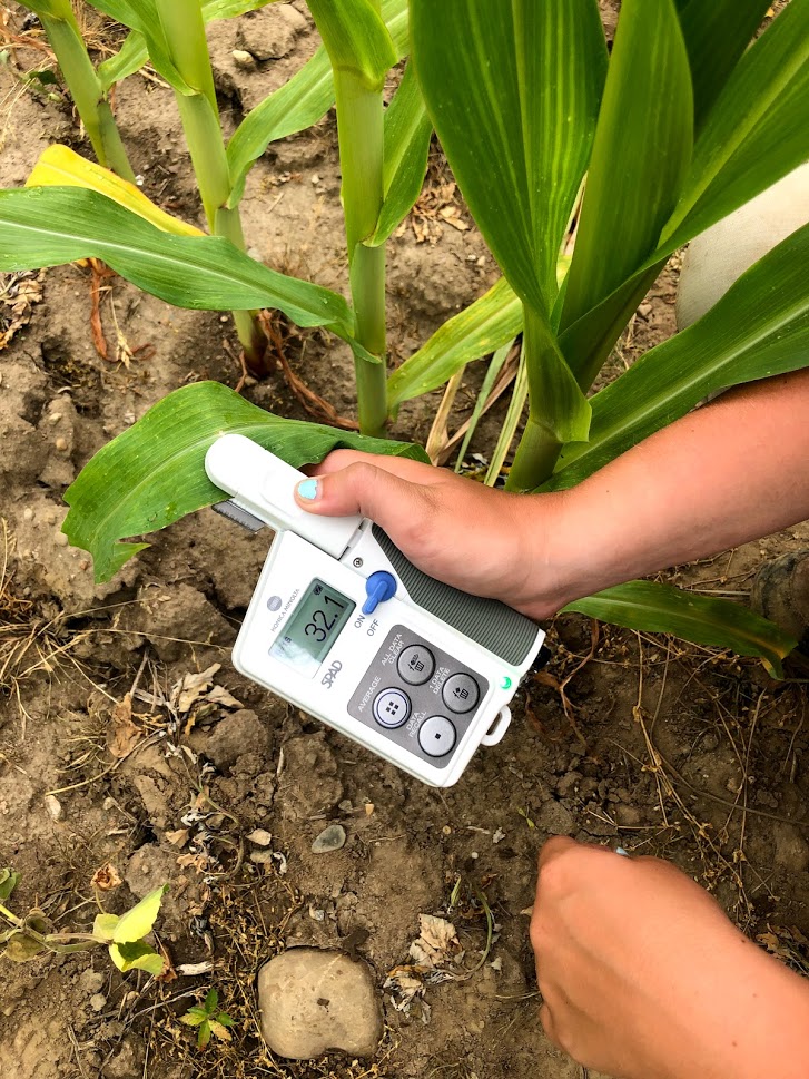 chlorophyll meter 3